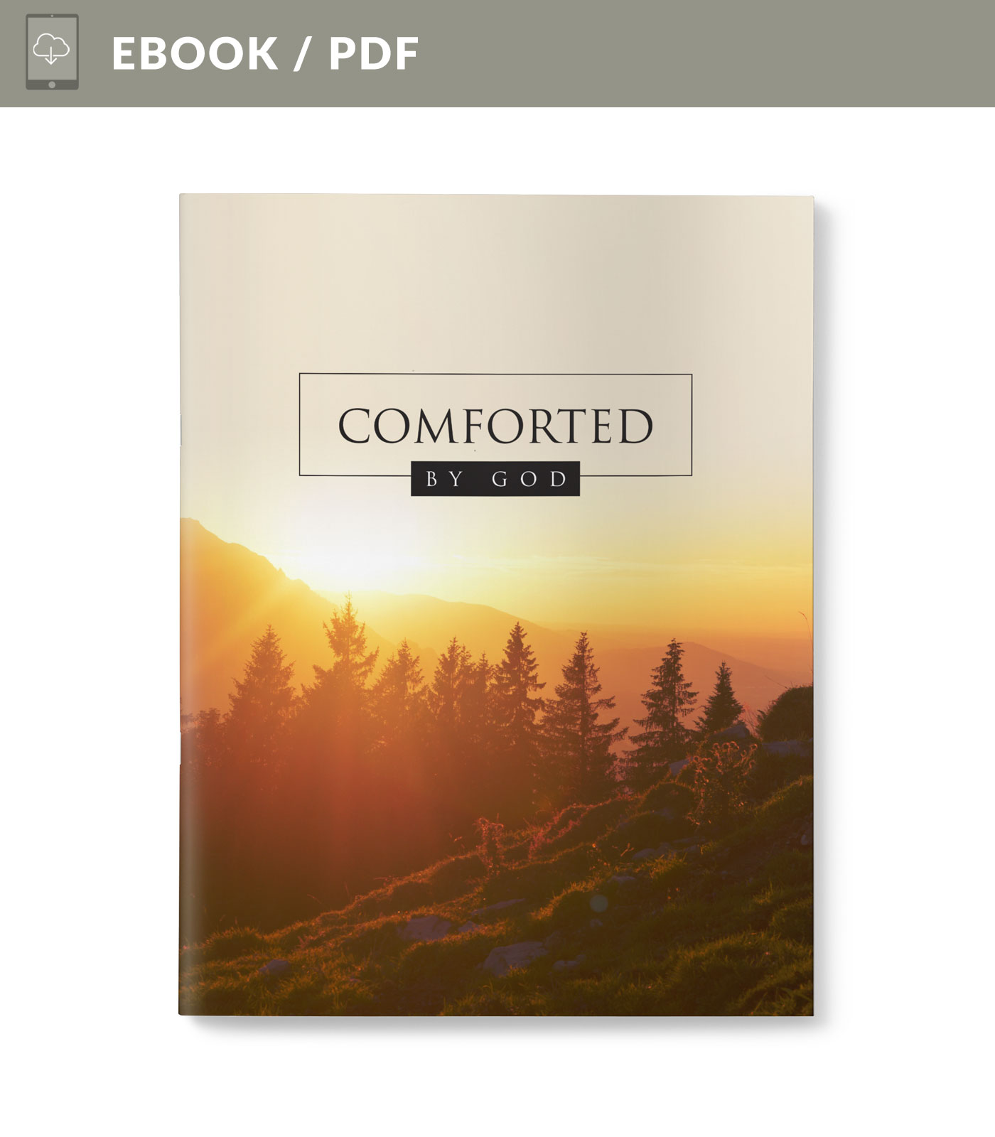 Comforted By God • 5-Day Devotional