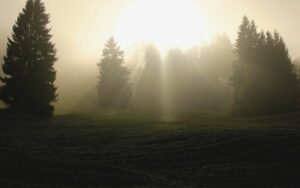 hero image Benchmark 6: Holy Spirit 103 from Micheal Easley inContext