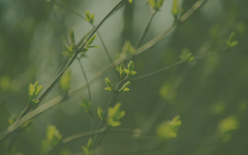 1 Thessalonians from Michael Easley inContext