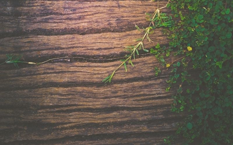 2 Thessalonians from Michael Easley inContext