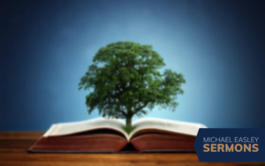 The Most Priceless possession: wisdom
