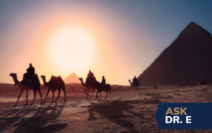 Pharaoh's magicians