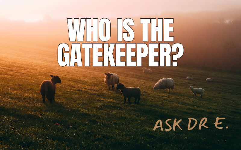 Gatekeeper Psy Who is the gatekeeper?
