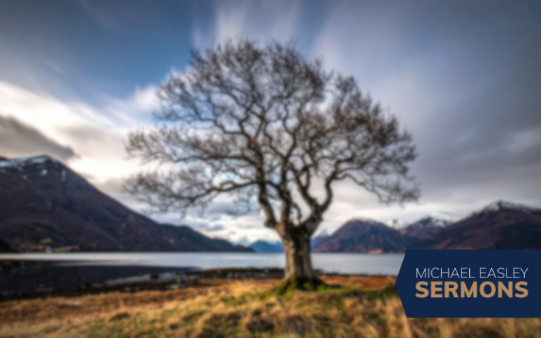 Psalm 1: The Blessed Life
